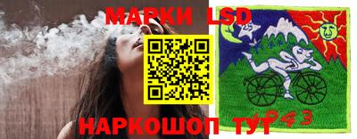 мяу мяу мука Лесосибирск