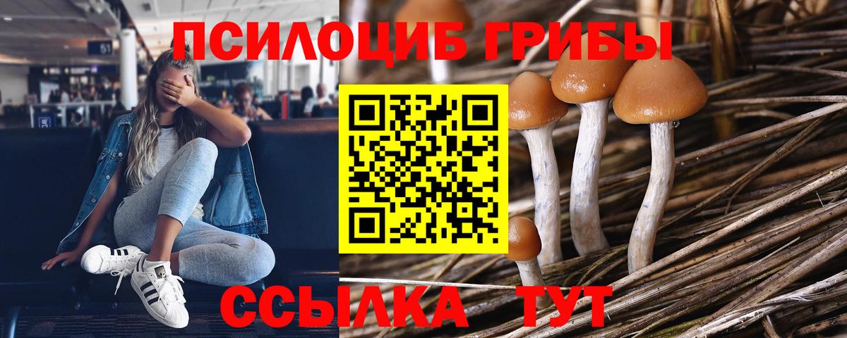 Галлюциногенные грибы Magic Shrooms Выборг